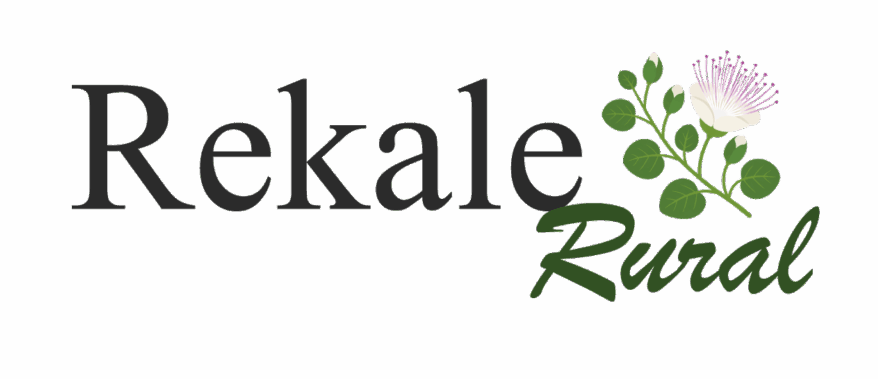 logo-image